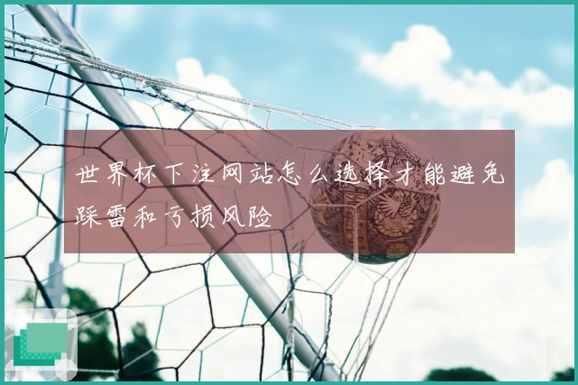 世界杯下注网站怎么选择才能避免踩雷和亏损风险