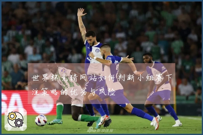 世界杯竞猜网站如何判断小组赛下注策略的优劣与风险