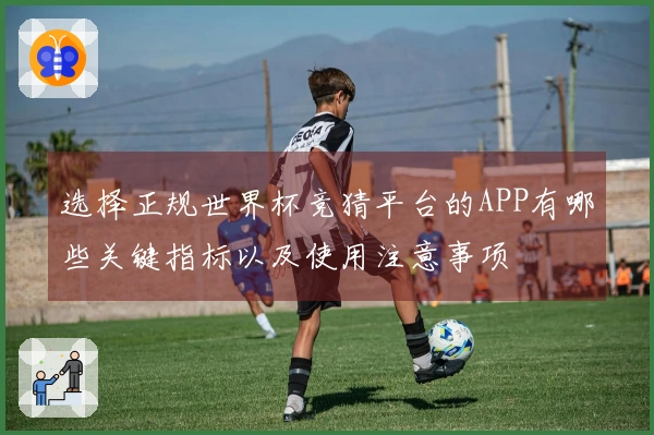 选择正规世界杯竞猜平台的APP有哪些关键指标以及使用注意事项
