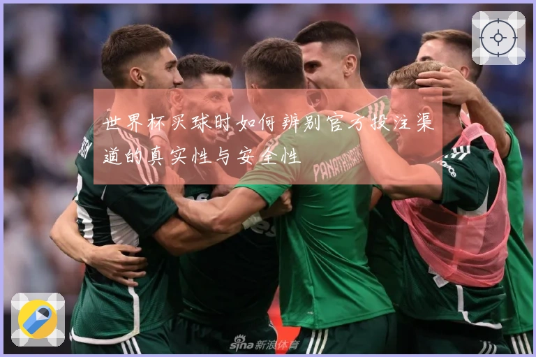 世界杯买球时如何辨别官方投注渠道的真实性与安全性