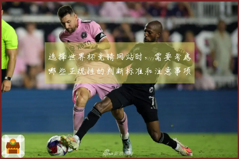 选择世界杯竞猜网站时，需要考虑哪些正规性的判断标准和注意事项？