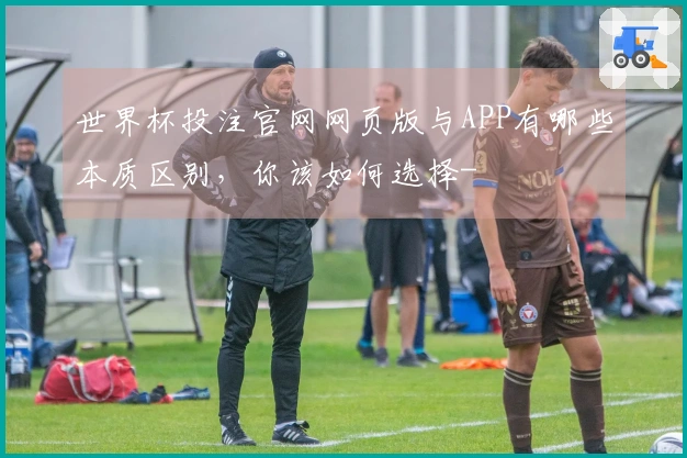 世界杯投注官网网页版与APP有哪些本质区别，你该如何选择-