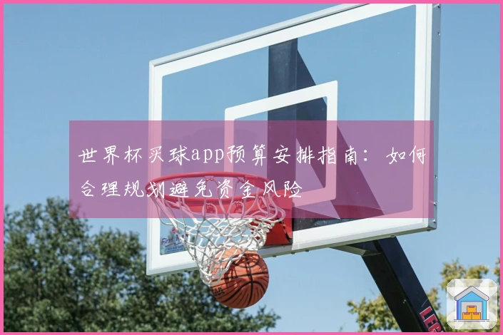 世界杯买球app预算安排指南：如何合理规划避免资金风险