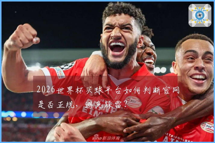 2026世界杯买球平台如何判断官网是否正规，避免踩雷？