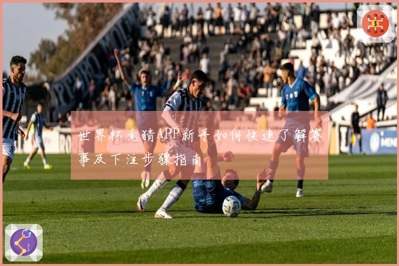 世界杯竞猜APP新手如何快速了解赛事及下注步骤指南