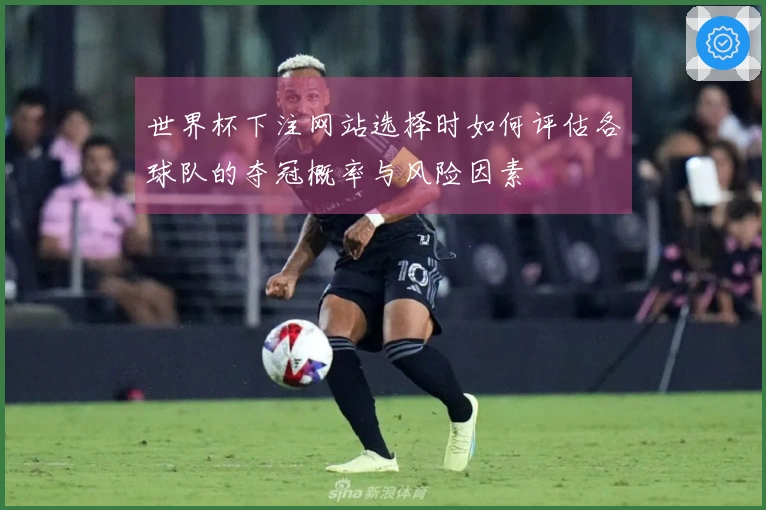 世界杯下注网站选择时如何评估各球队的夺冠概率与风险因素