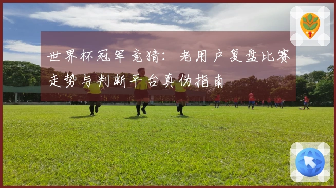 世界杯冠军竞猜：老用户复盘比赛走势与判断平台真伪指南
