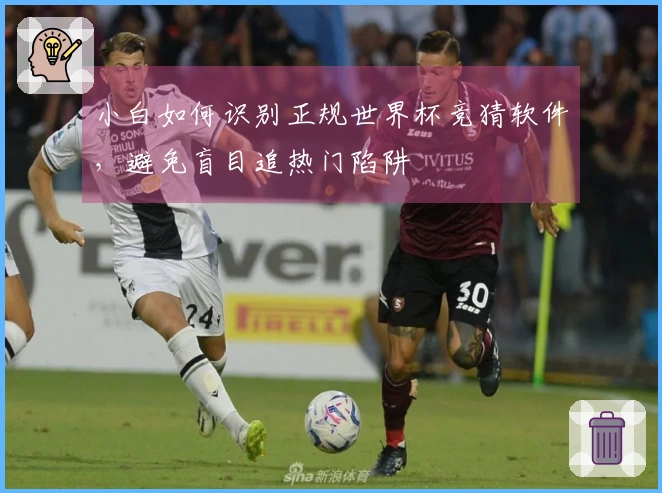小白如何识别正规世界杯竞猜软件,避免盲目追热门陷阱