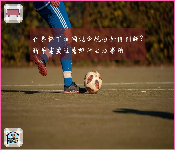 世界杯下注网站合规性如何判断？新手需要注意哪些合法事项