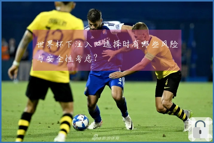 世界杯下注入口选择时有哪些风险与安全性考虑？