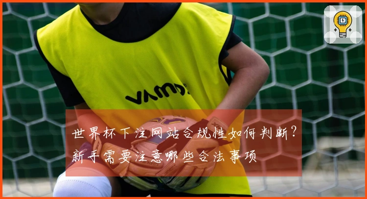 世界杯下注网站合规性如何判断?新手需要注意哪些合法事项