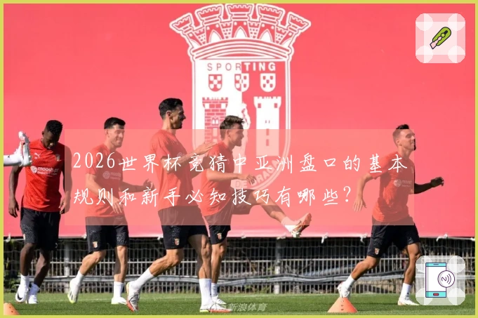 2026世界杯竞猜中亚洲盘口的基本规则和新手必知技巧有哪些？