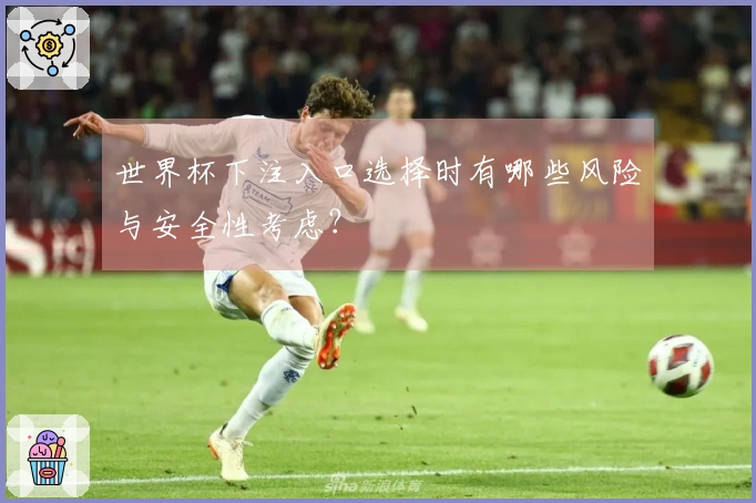世界杯下注入口选择时有哪些风险与安全性考虑？