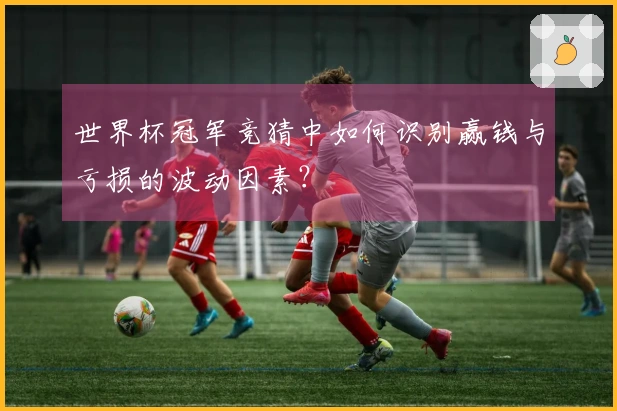 世界杯冠军竞猜中如何识别赢钱与亏损的波动因素？