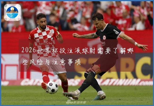 2026世界杯投注滚球时需要了解哪些风险与注意事项