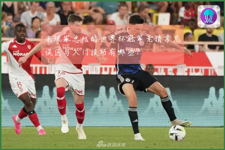 老玩家总结的世界杯冠军竞猜常见误区与入门技巧有哪些？