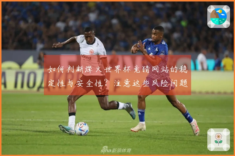 如何判断烽火世界杯竞猜网站的稳定性与安全性？注意这些风险问题！