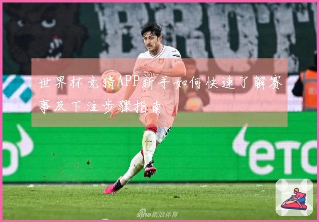 世界杯竞猜APP新手如何快速了解赛事及下注步骤指南