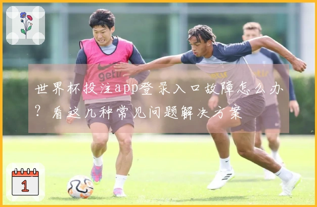 世界杯投注app登录入口故障怎么办？看这几种常见问题解决方案