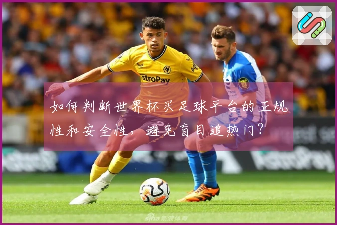 如何判断世界杯买足球平台的正规性和安全性，避免盲目追热门？