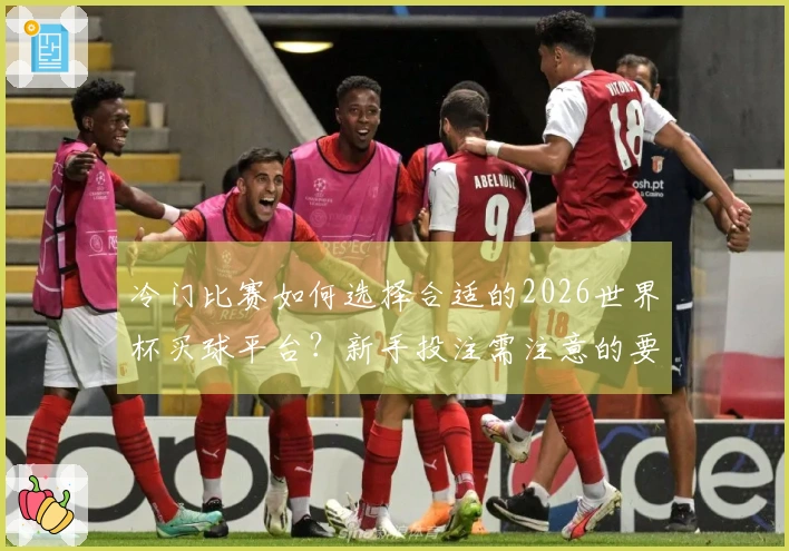 冷门比赛如何选择合适的2026世界杯买球平台？新手投注需注意的要点解析